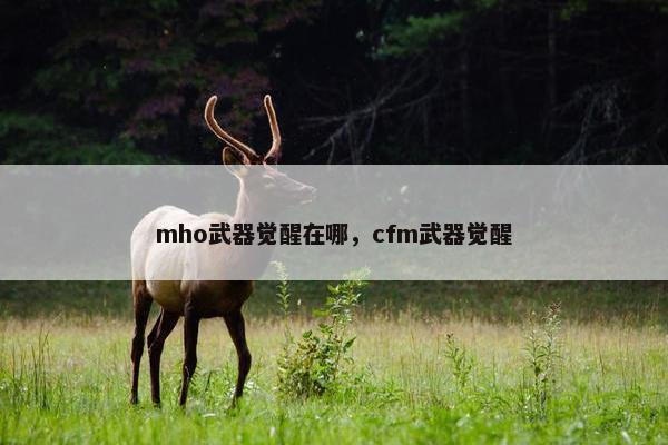 mho武器觉醒在哪，cfm武器觉醒