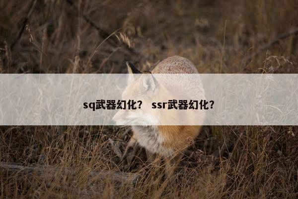sq武器幻化？ ssr武器幻化？