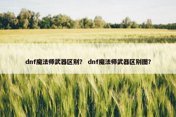 dnf魔法师武器区别？ dnf魔法师武器区别图？