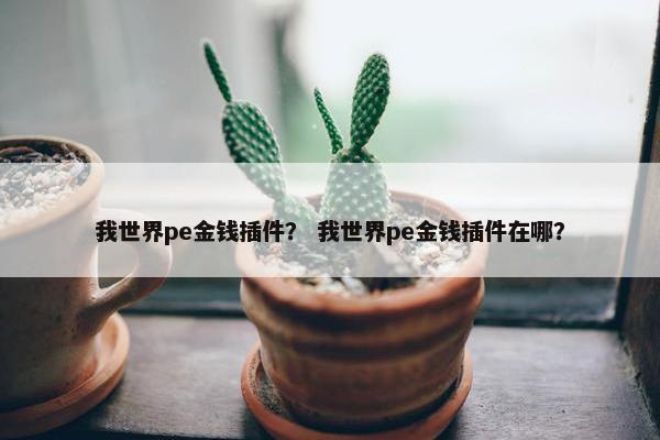 我世界pe金钱插件？ 我世界pe金钱插件在哪？
