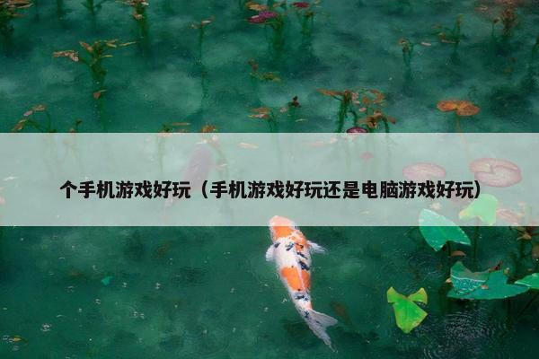 个手机游戏好玩（手机游戏好玩还是电脑游戏好玩）