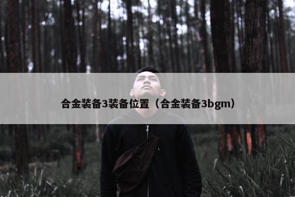 合金装备3装备位置（合金装备3bgm）