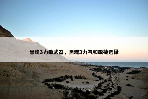黑魂3力敏武器，黑魂3力气和敏捷选择