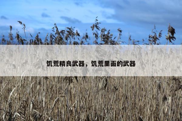 饥荒精良武器，饥荒里面的武器