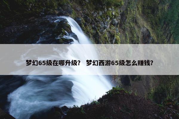 梦幻65级在哪升级？ 梦幻西游65级怎么赚钱？