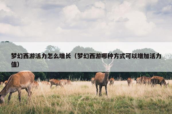 梦幻西游活力怎么增长（梦幻西游哪种方式可以增加活力值）