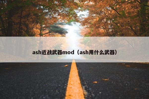 ash近战武器mod（ash用什么武器）