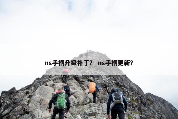 ns手柄升级补丁？ ns手柄更新？