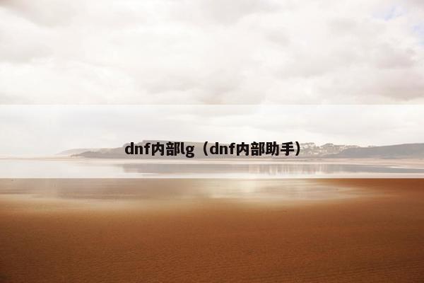 dnf内部lg（dnf内部助手）