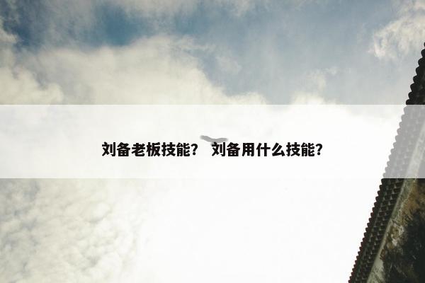 刘备老板技能？ 刘备用什么技能？