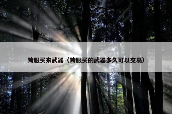 跨服买来武器（跨服买的武器多久可以交易）