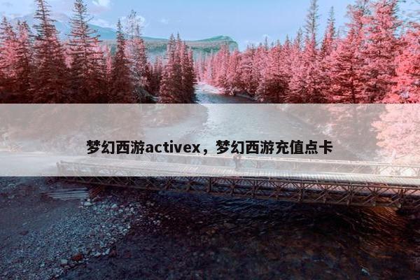 梦幻西游activex，梦幻西游充值点卡