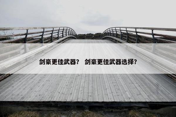 剑豪更佳武器？ 剑豪更佳武器选择？