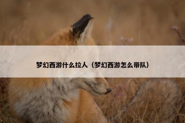 梦幻西游什么拉人（梦幻西游怎么带队）