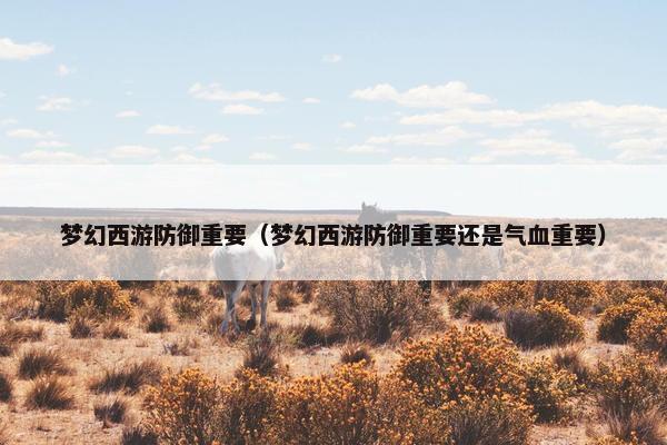 梦幻西游防御重要（梦幻西游防御重要还是气血重要）