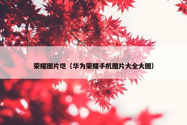 荣耀图片垲（华为荣耀手机图片大全大图）