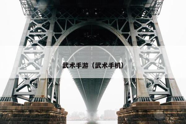 武术手游（武术手机）