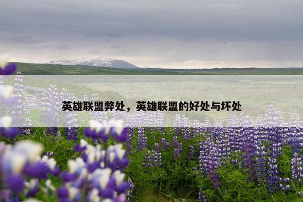 英雄联盟弊处，英雄联盟的好处与坏处