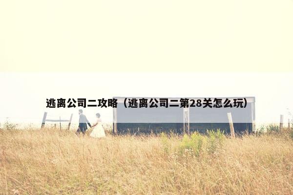 逃离公司二攻略（逃离公司二第28关怎么玩）
