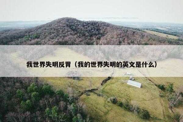 我世界失明反胃（我的世界失明的英文是什么）