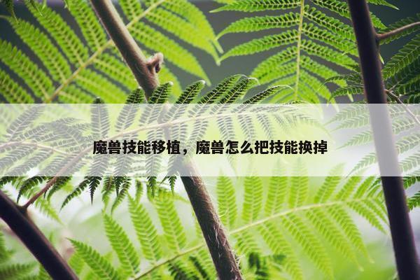 魔兽技能移植，魔兽怎么把技能换掉