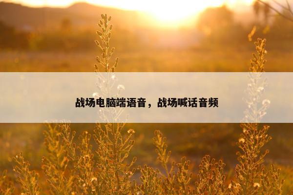 战场电脑端语音，战场喊话音频