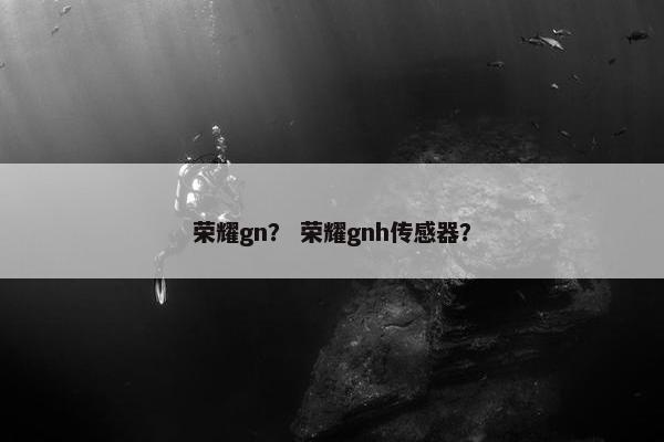 荣耀gn？ 荣耀gnh传感器？