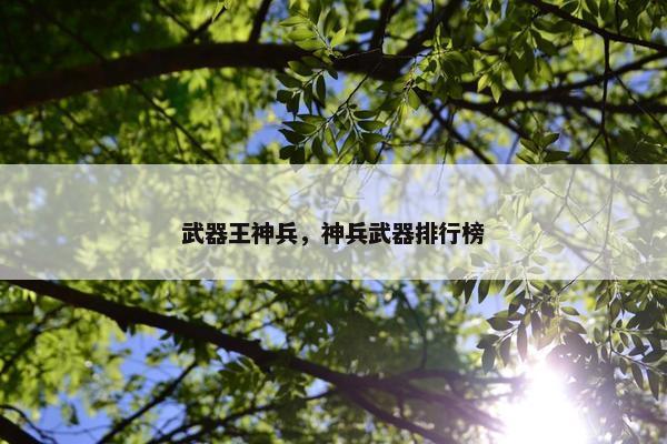 武器王神兵，神兵武器排行榜