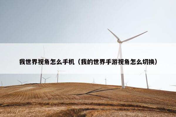我世界视角怎么手机（我的世界手游视角怎么切换）