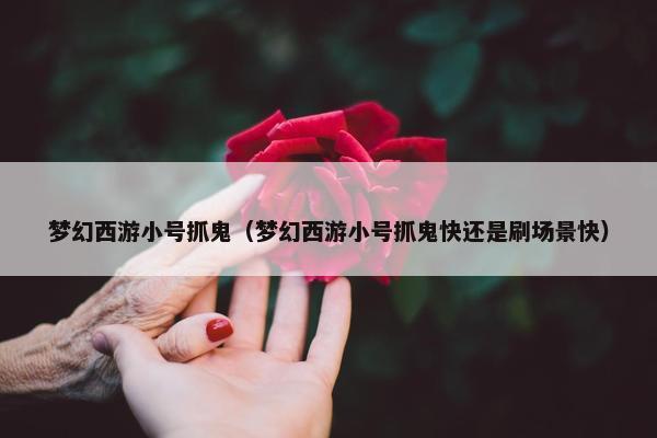 梦幻西游小号抓鬼（梦幻西游小号抓鬼快还是刷场景快）