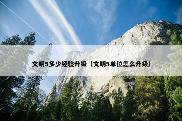 文明5多少经验升级（文明5单位怎么升级）