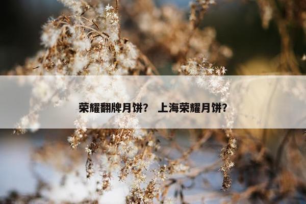 荣耀翻牌月饼？ 上海荣耀月饼？