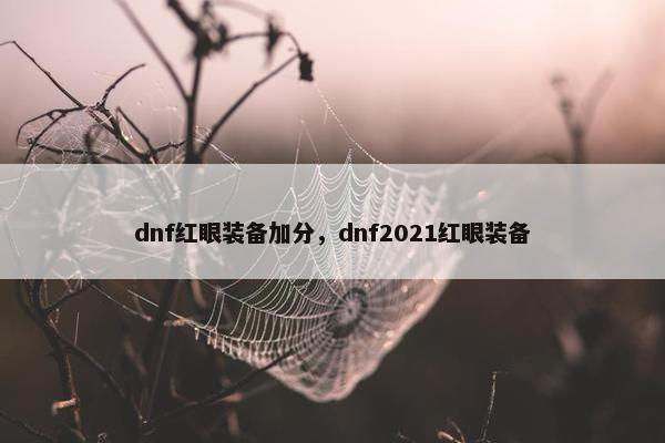 dnf红眼装备加分，dnf2021红眼装备