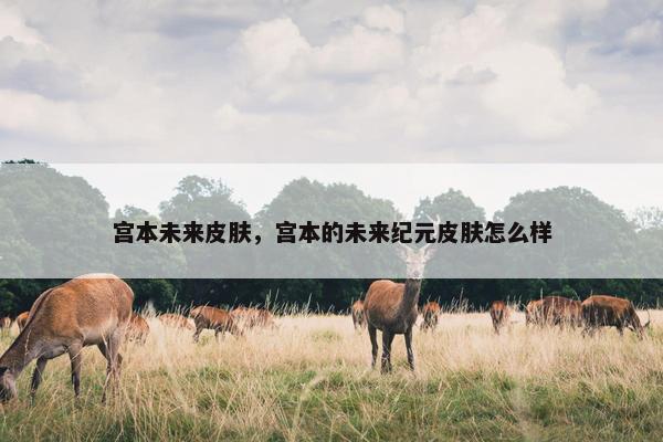 宫本未来皮肤，宫本的未来纪元皮肤怎么样