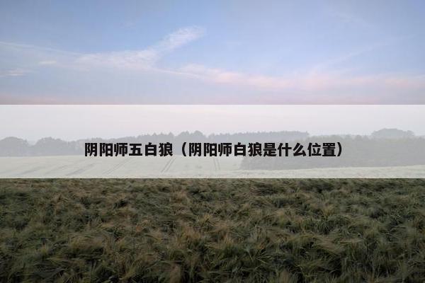 阴阳师五白狼（阴阳师白狼是什么位置）