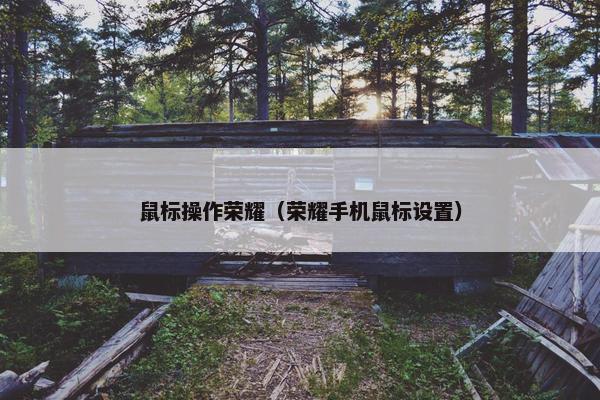 鼠标操作荣耀（荣耀手机鼠标设置）