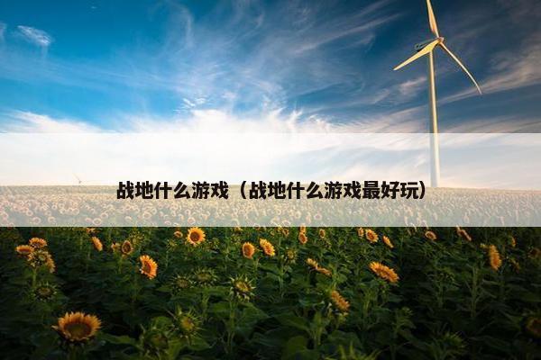 战地什么游戏（战地什么游戏最好玩）