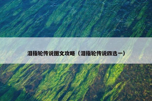 泪指轮传说图文攻略（泪指轮传说四选一）