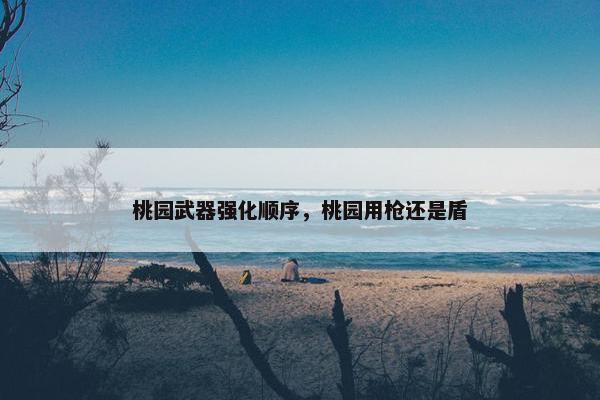 桃园武器强化顺序，桃园用枪还是盾