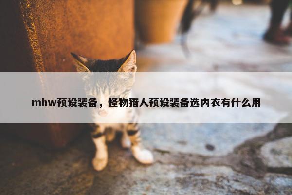 mhw预设装备，怪物猎人预设装备选内衣有什么用