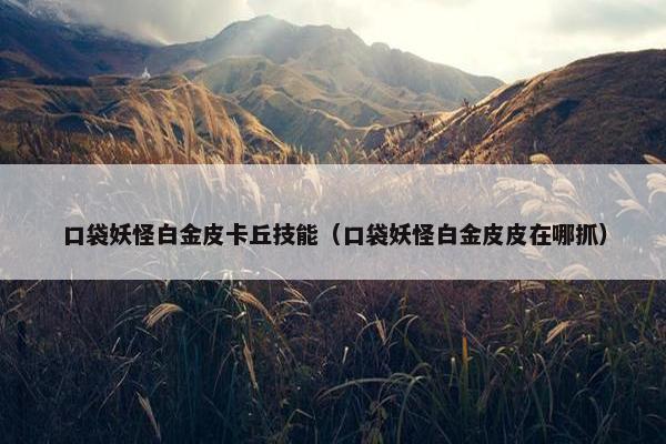 口袋妖怪白金皮卡丘技能（口袋妖怪白金皮皮在哪抓）