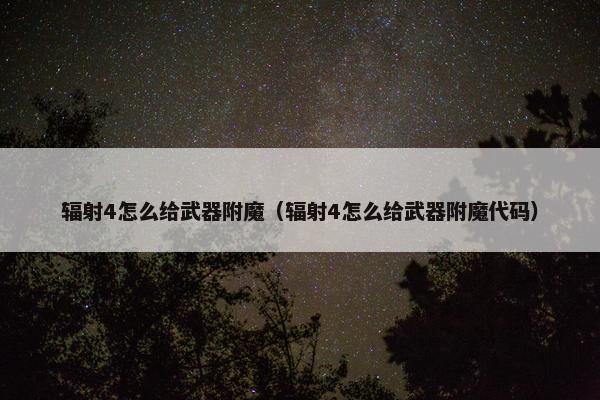 辐射4怎么给武器附魔（辐射4怎么给武器附魔代码）