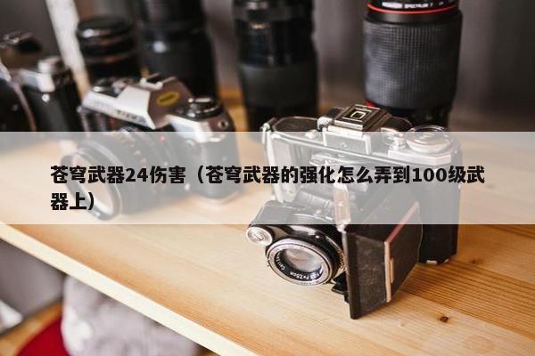 苍穹武器24伤害（苍穹武器的强化怎么弄到100级武器上）