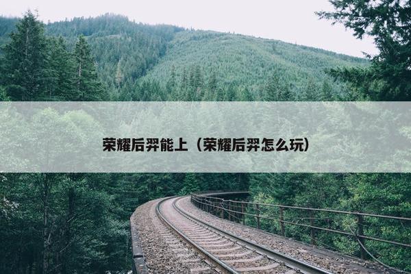 荣耀后羿能上（荣耀后羿怎么玩）