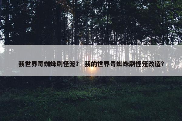 我世界毒蜘蛛刷怪笼？ 我的世界毒蜘蛛刷怪笼改造？