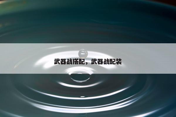 武器战搭配，武器战配装