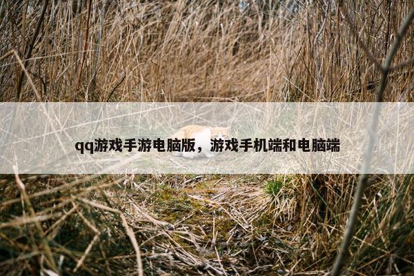 qq游戏手游电脑版，游戏手机端和电脑端