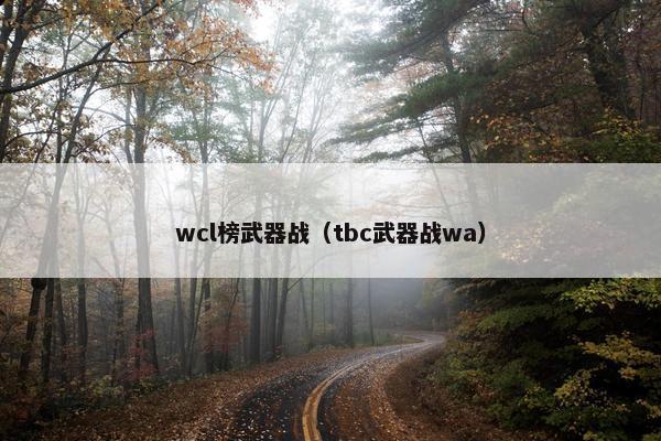wcl榜武器战（tbc武器战wa）