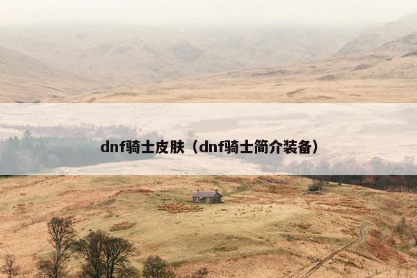 dnf骑士皮肤（dnf骑士简介装备）