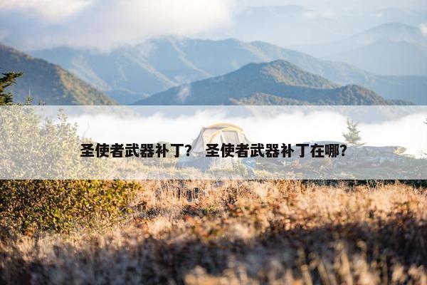 圣使者武器补丁？ 圣使者武器补丁在哪？